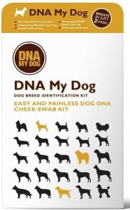 DNA My Dog - Canine Breed Identification Test Kit