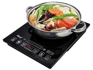 Rosewill Induction Cooker Review