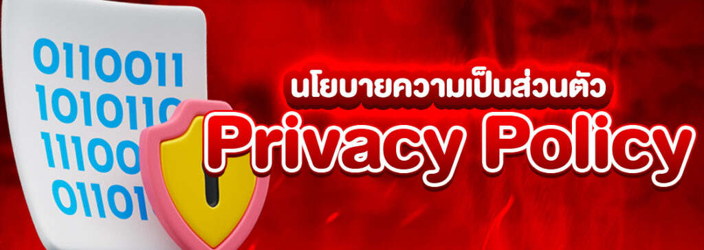 นโยบายความเป็นส่วนตัว